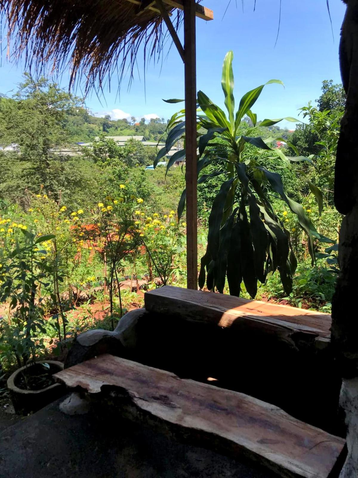 Backpacker Hostel And Jungle Trekking Banlung Exteriér fotografie